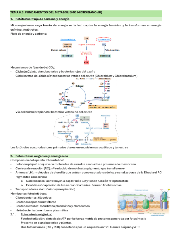 Miniatura del documento TEMA-8.3.pdf