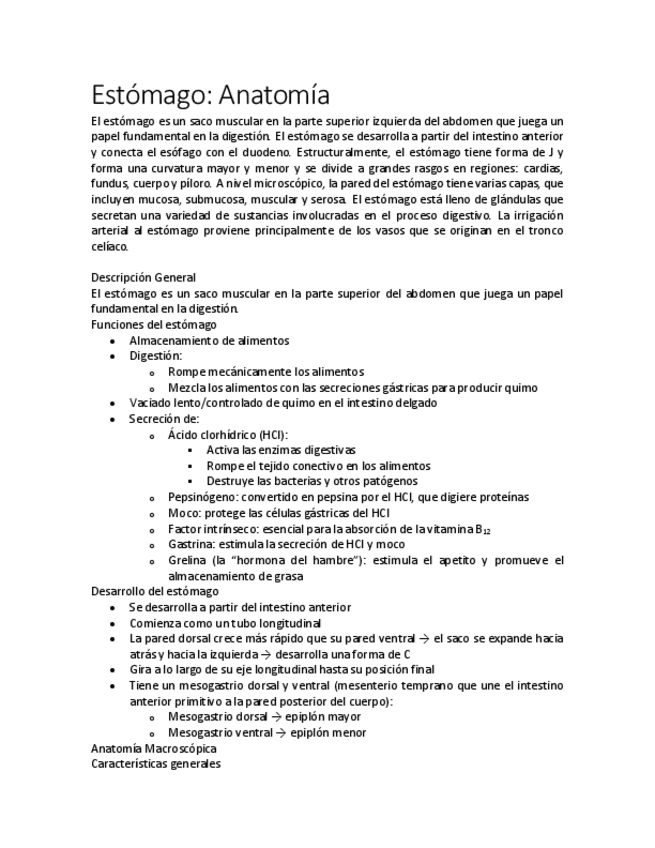 Miniatura del documento Estomago.pdf