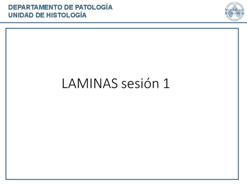 Miniatura del documento laminas-diagnosticas-tutorizadas-rotuladas.pdf