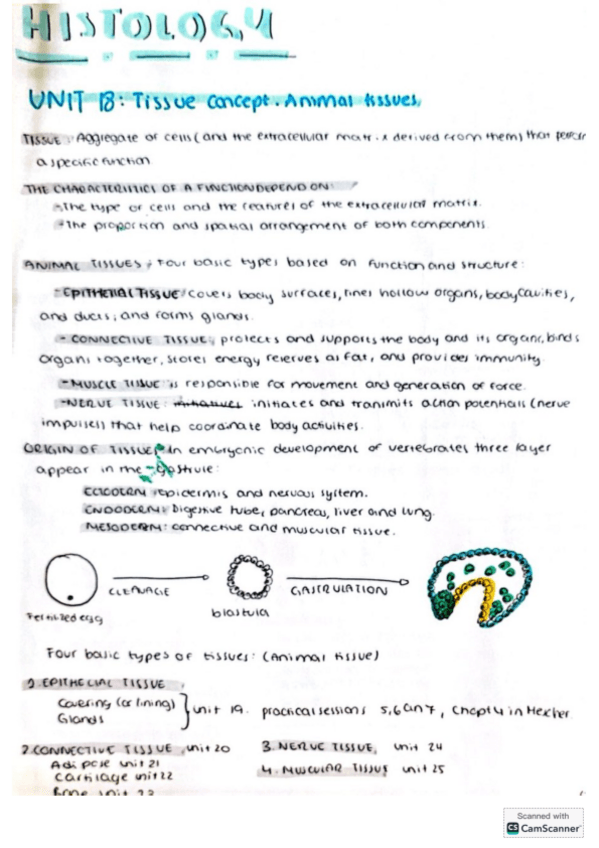 Miniatura del documento histologia.pdf