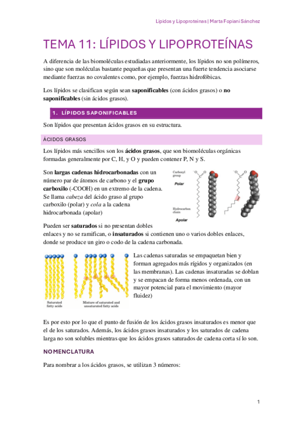 Miniatura del documento BQ-TEMA-11.pdf