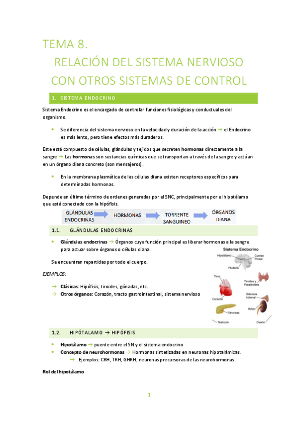 Miniatura del documento TEMA-8-Relacion-del-SN-con-otros-sistemas-de-control.pdf