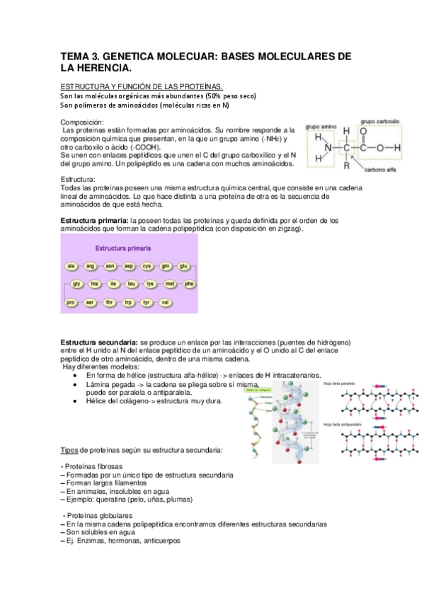 Miniatura del documento TEMA 3.pdf