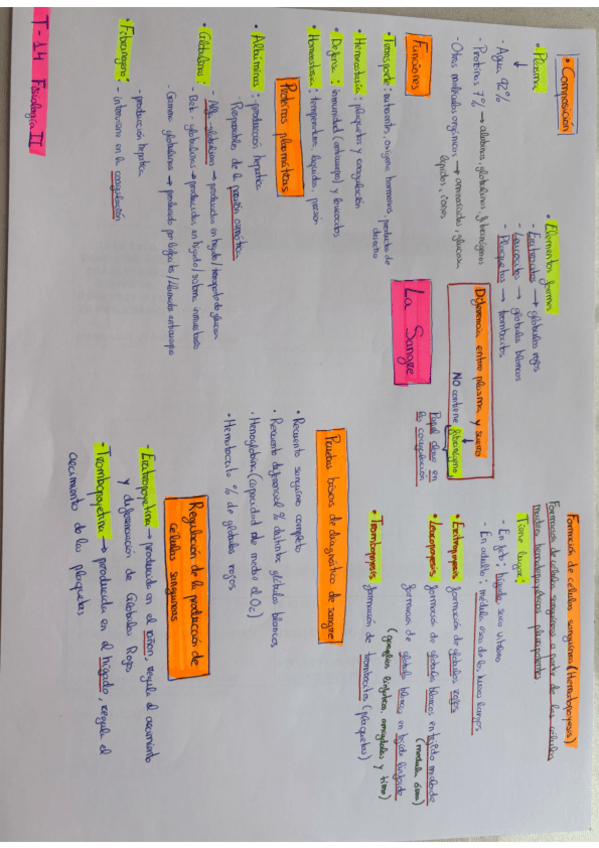 Miniatura del documento T-14-FISIOLOGIA-II.pdf