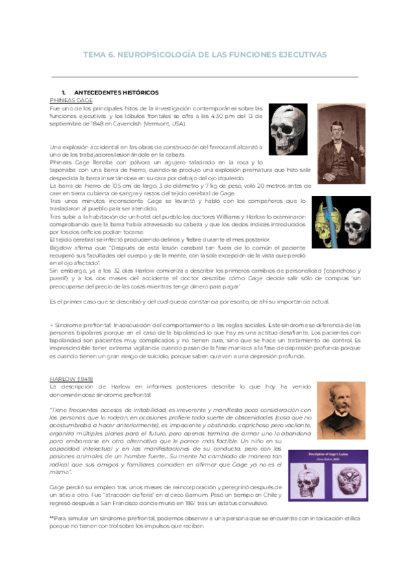 Miniatura del documento Tema-6.-Neuropsicologia-de-las-funciones-ejecutivas.pdf