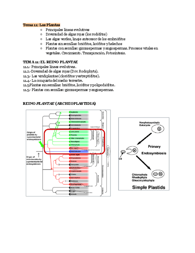 Miniatura del documento BIOLOGIA-I-tema-11.pdf