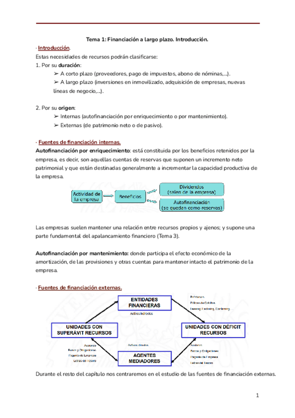 Miniatura del documento Decisiones-de-financiacion-Tema-1.pdf
