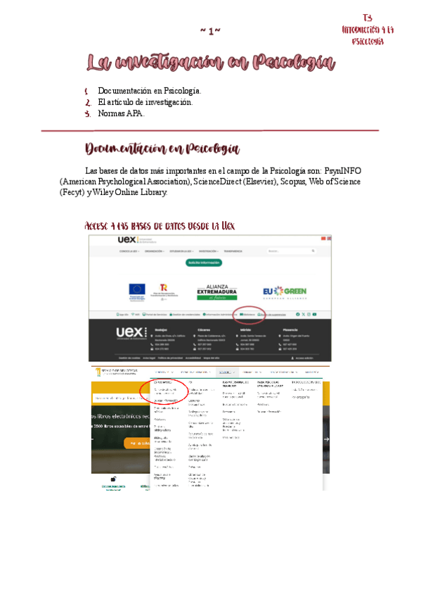Miniatura del documento T3-La-investigacion-en-Psicologia.pdf