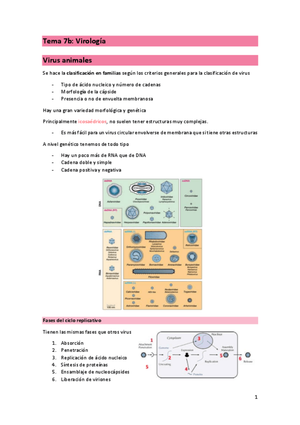 Miniatura del documento T7b-MIC.pdf
