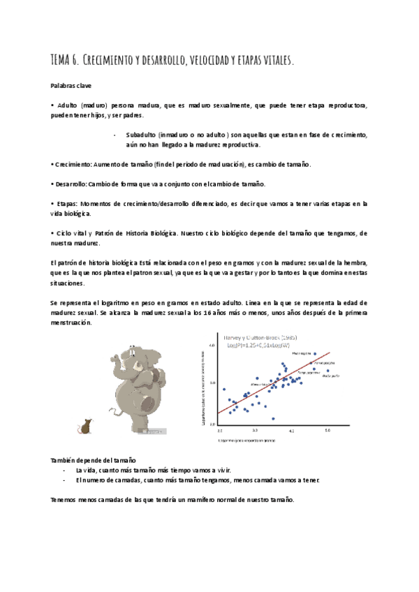 Miniatura del documento TEMA-6.pdf
