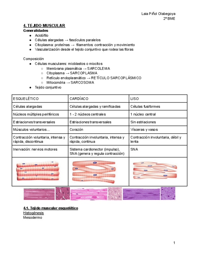 Miniatura del documento 4.-Tejido-muscular.pdf
