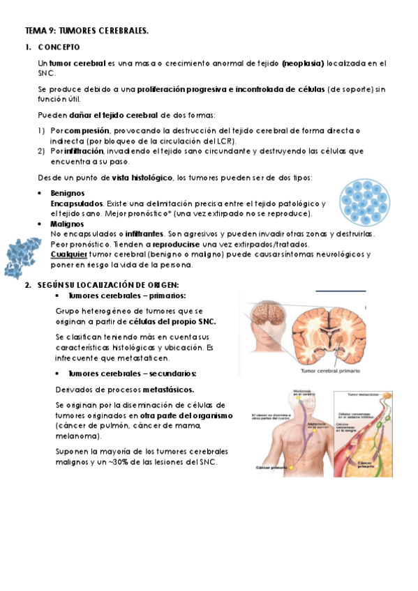 Miniatura del documento TEMA-9.pdf