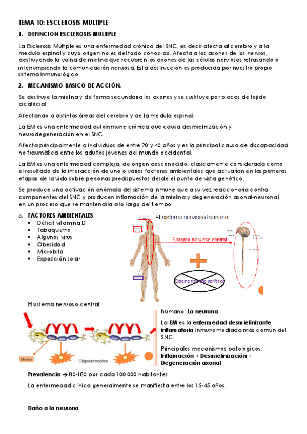 Miniatura del documento TEMA-10.pdf