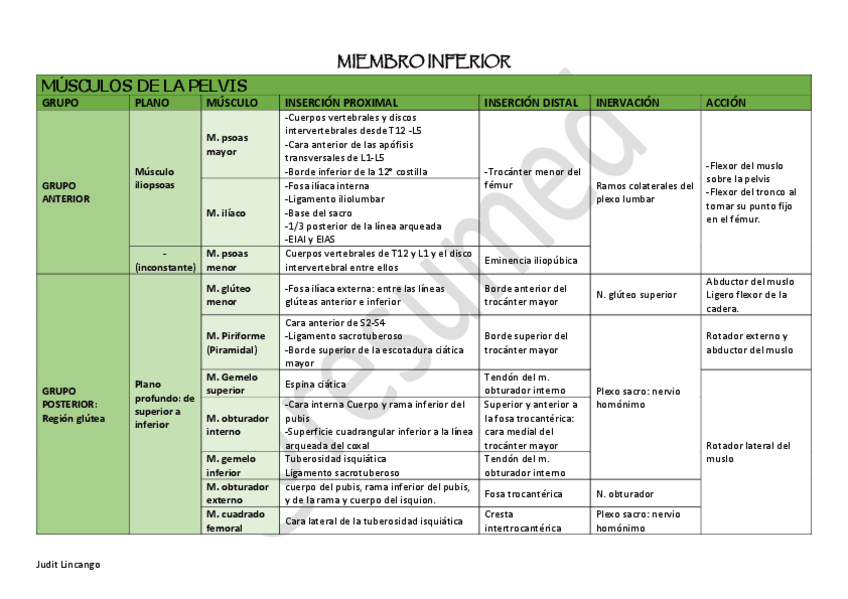 Miniatura del documento Miologia-del-miembro-inferior.pdf