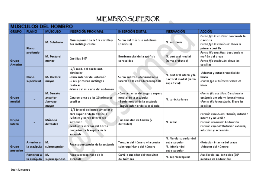 Miniatura del documento Miologia-del-miembro-superior.pdf