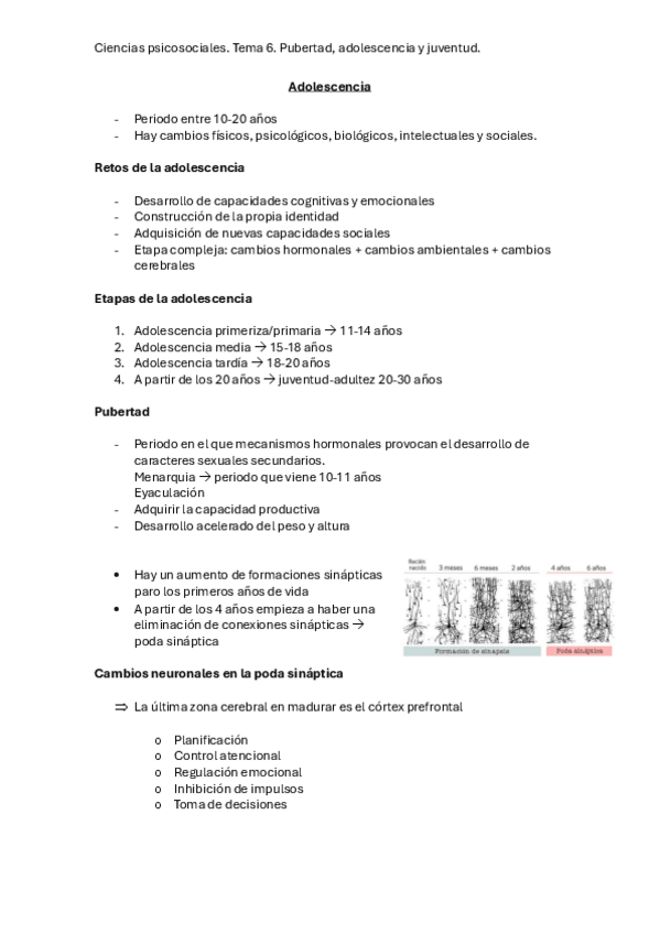 Miniatura del documento Tema-6.-Pubertad-Adolescencia-y-joventud.pdf