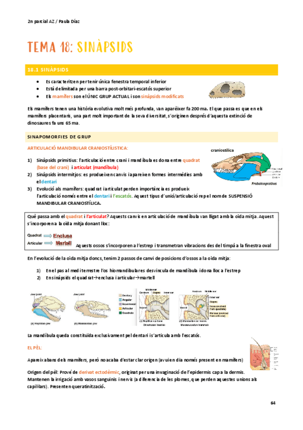Miniatura del documento zoo-t-18.pdf