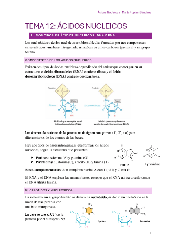 Miniatura del documento BQ-TEMA-12.pdf