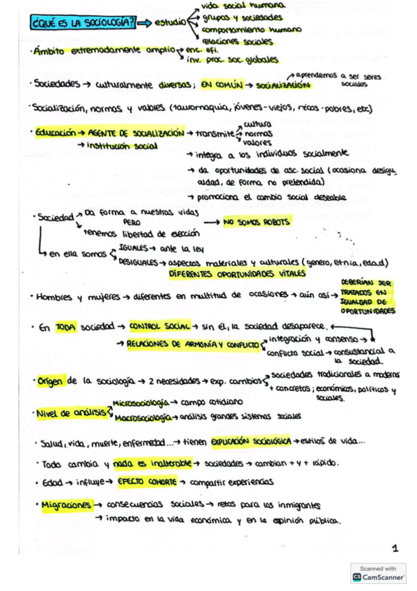 Miniatura del documento apuntes-resumen-sociologia.pdf