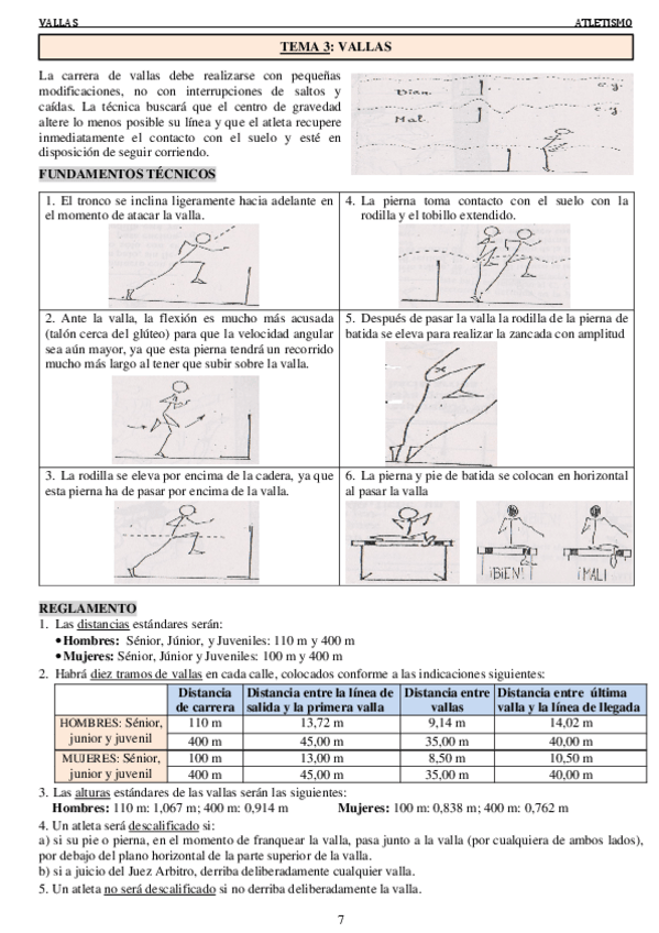 Miniatura del documento T3. VALLAS.pdf