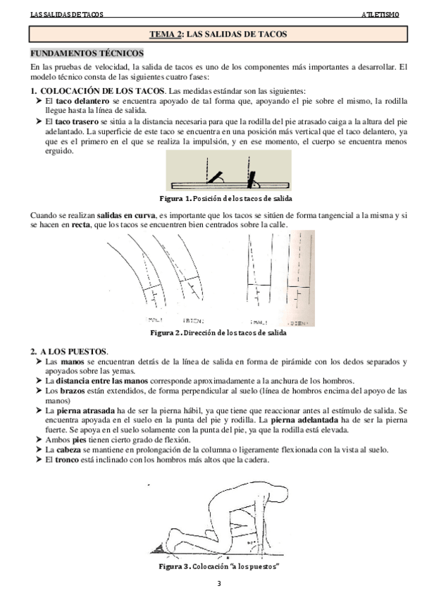 Miniatura del documento T2. SALIDAS.pdf