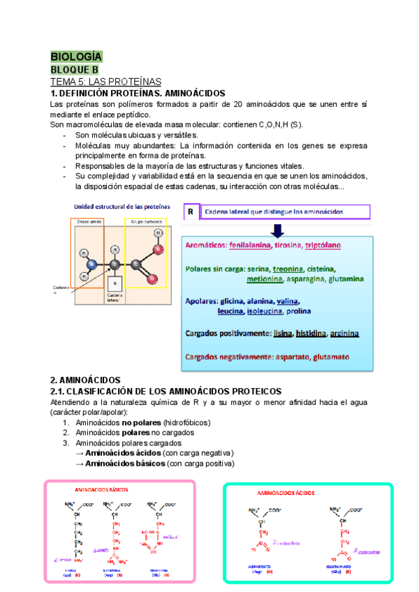 Miniatura del documento BIOLOGIA.-TEMA-5.-Proteinas.pdf