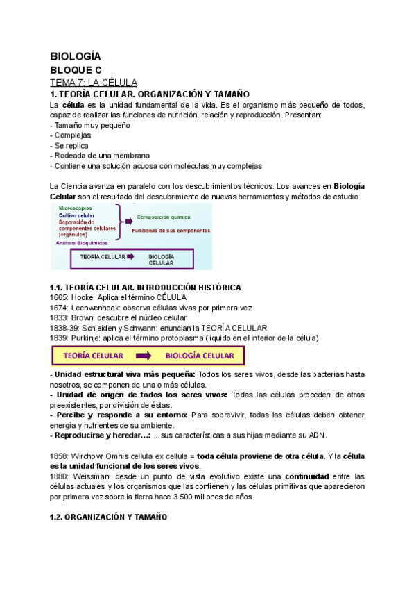 Miniatura del documento BIOLOGIA.-TEMA-7.-Celula.pdf