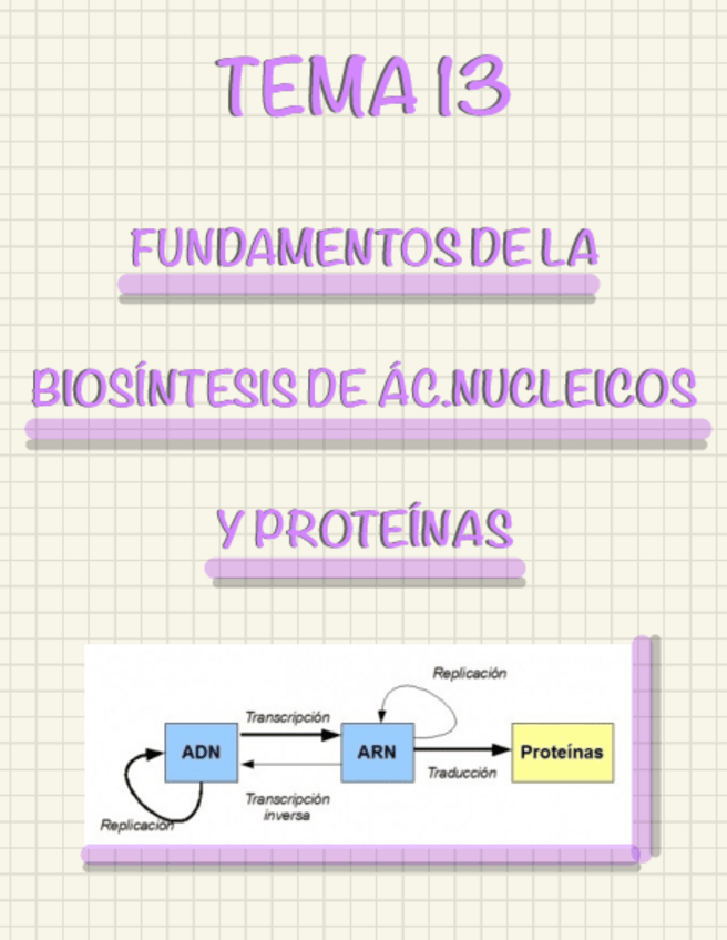 Miniatura del documento TEMA-13-FUNDAMENTOS-DE-LA-BIOSINTESIS-DE-AC.NUCLEICOS-Y-PROTEINAS.pdf