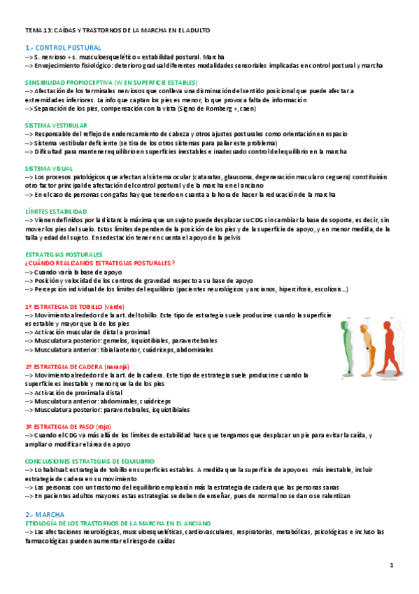 Miniatura del documento TEMA-13-GERIATRIA.pdf