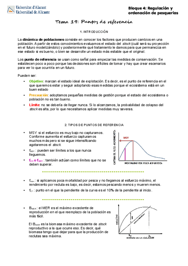 Miniatura del documento T19Punto-de-referencia.pdf