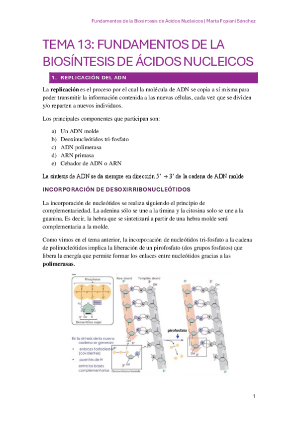 Miniatura del documento BQ-TEMA-13.pdf