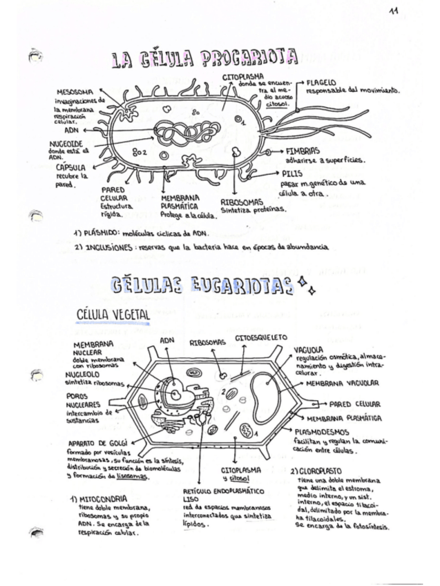 Miniatura del documento Tema-1-La-Vida-1.pdf