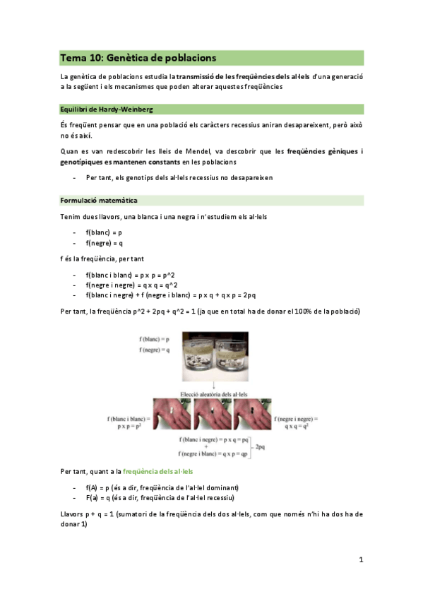 Miniatura del documento T10-GEN.pdf