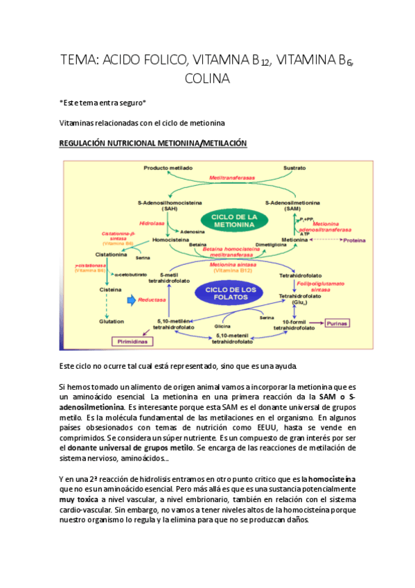 Miniatura del documento TEMA-15.-b9-b12-b6-colina.pdf