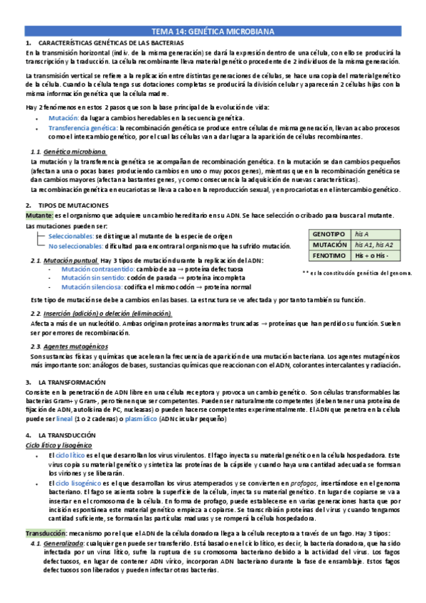 Miniatura del documento T14.-Genetica-microbiana.pdf