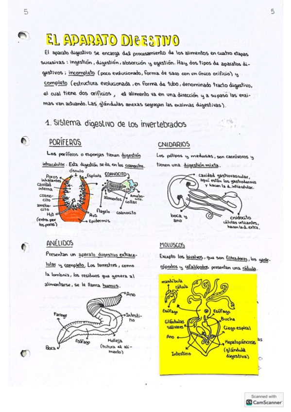 Miniatura del documento Tema-2-El-Sistema-Digestivo.pdf