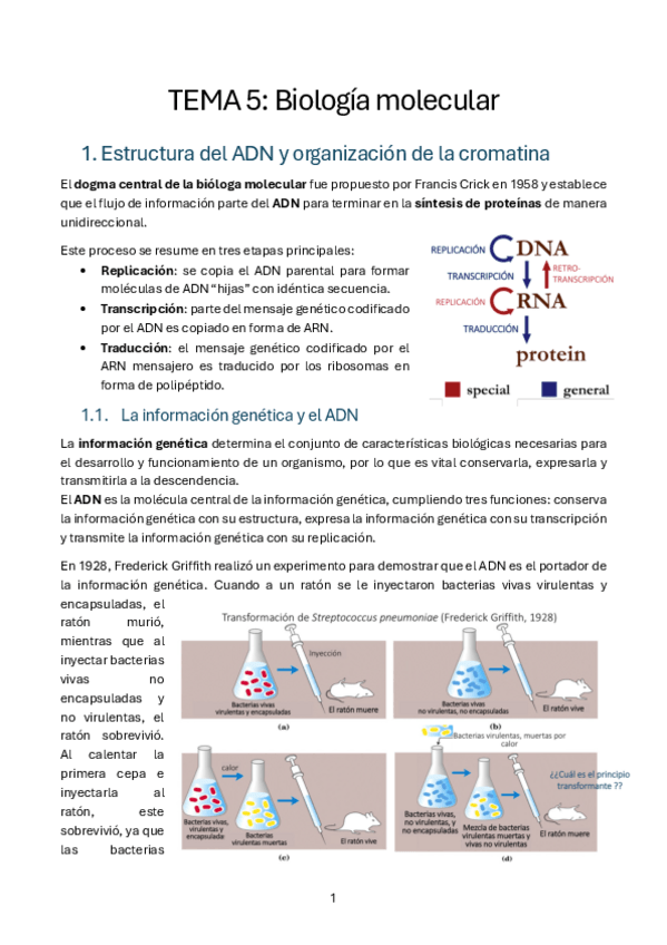 Miniatura del documento T5.-Biologia-molecular-bioquimica.pdf