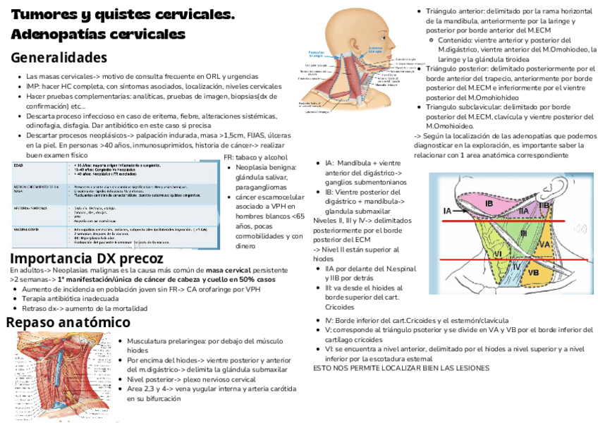 Miniatura del documento T29-tumores-y-quistes-cervicales.pdf