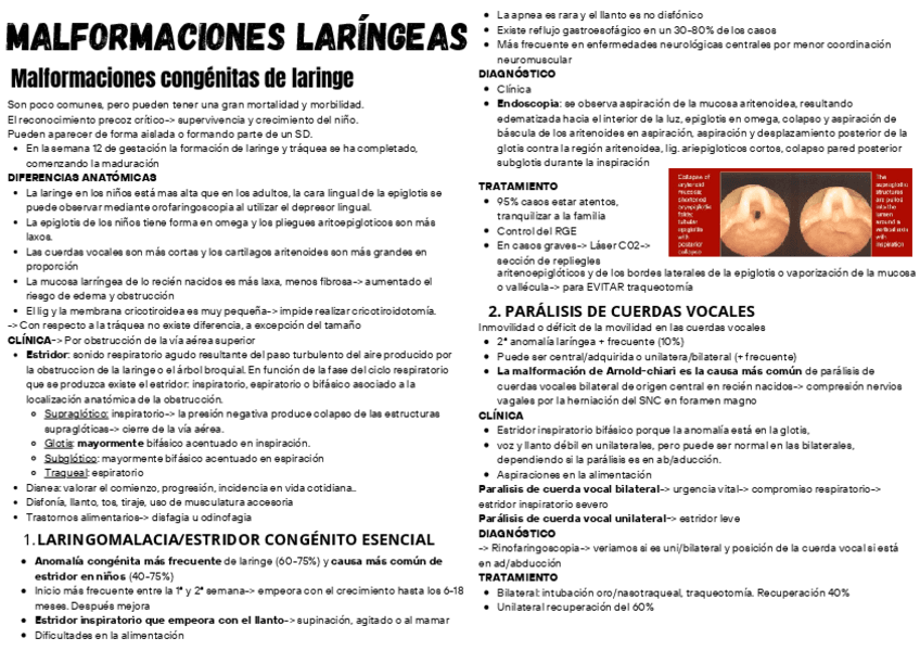 Miniatura del documento T24-Malformaciones-larIngeas.pdf