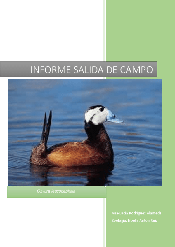 Miniatura del documento INFORME-DE-LA-SALIDA-DE-CAMPO.pdf