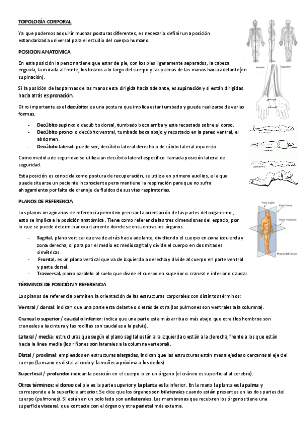 Miniatura del documento topologia-corporal.pdf
