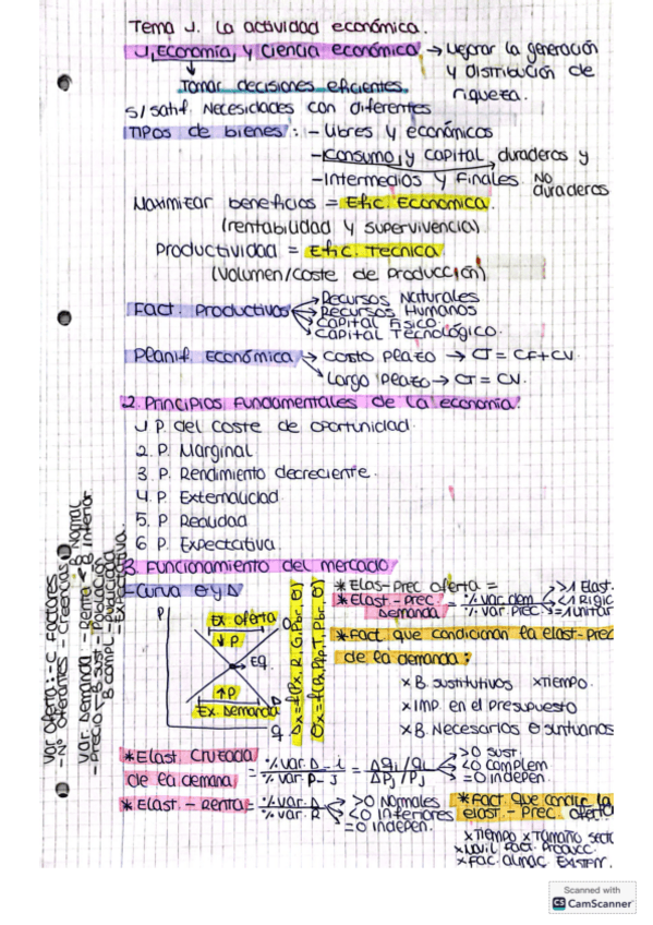Miniatura del documento Esquema-de-todos-los-temas.pdf