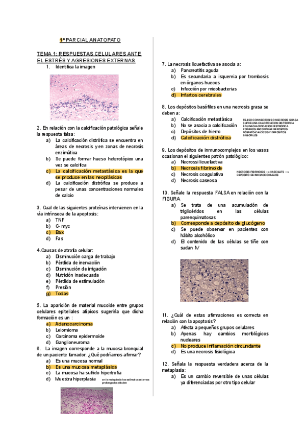 Miniatura del documento 00-EXAMENES-1o-CUATRI-AP.pdf