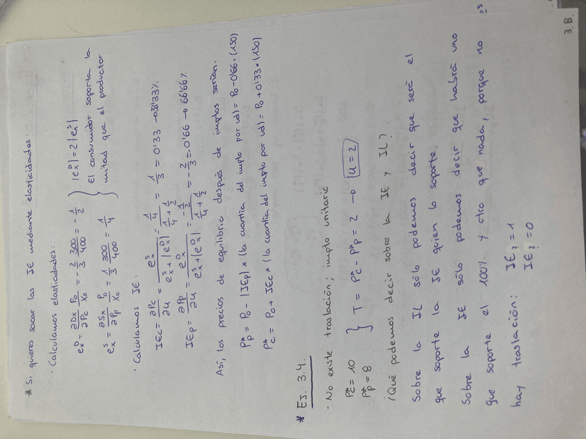 Miniatura del documento IMG4206.jpeg