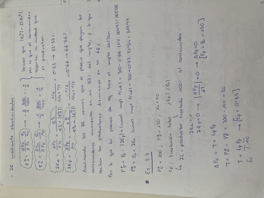 Miniatura del documento IMG4210.jpeg