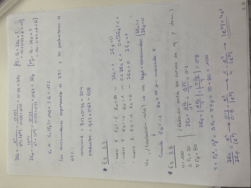 Miniatura del documento IMG4208.jpeg