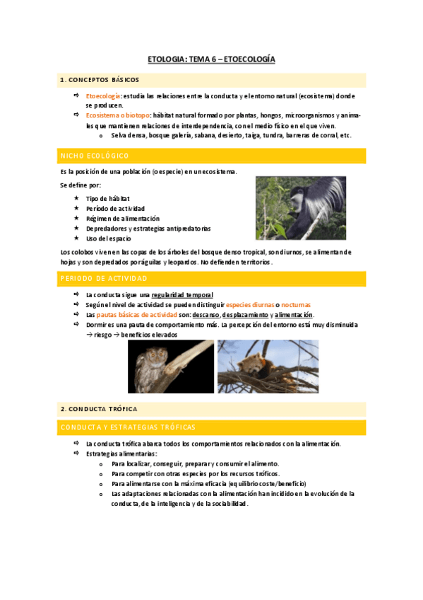 Miniatura del documento apunts-tema-6.pdf