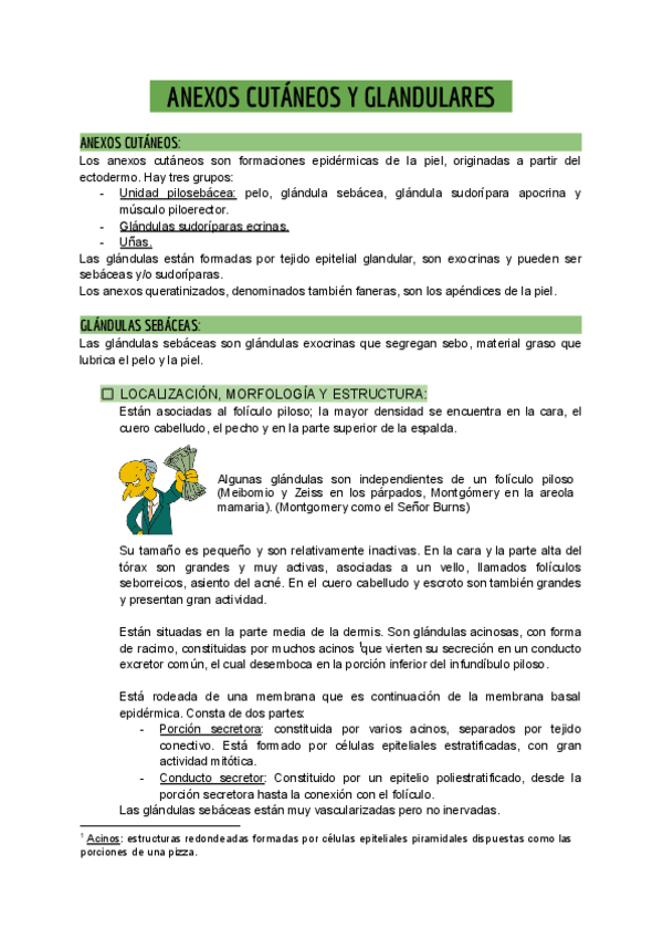 Miniatura del documento T2.-ANEXOS-CUTANEOS.pdf