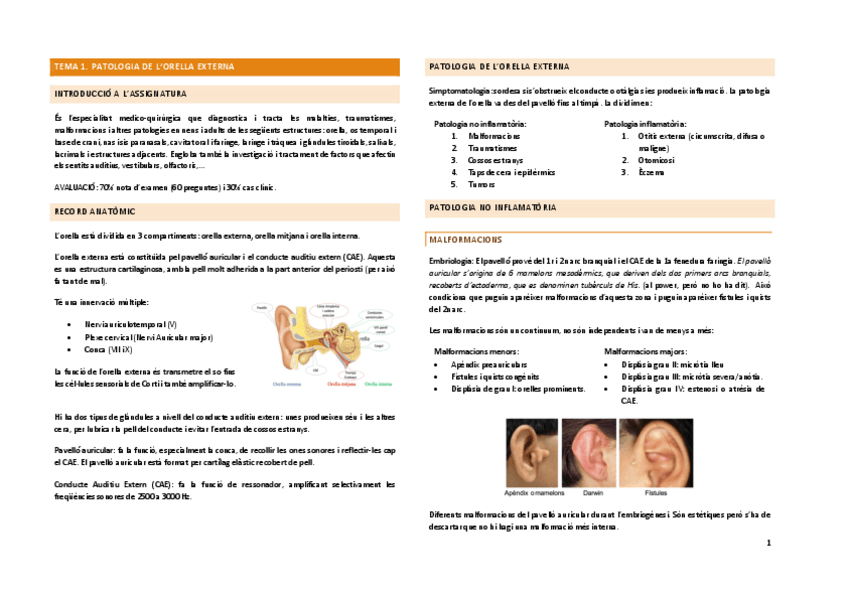 Miniatura del documento OTORRINO.1-50-pag.pdf