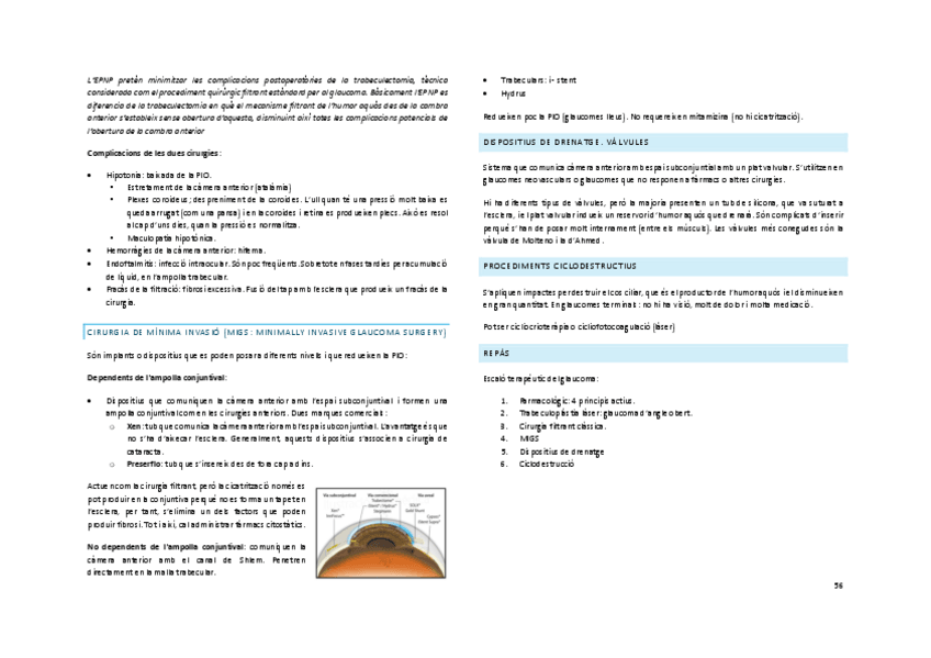 Miniatura del documento OFTALMO-56-109.pdf